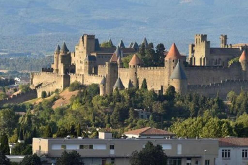 La Halte Du Canal Каркассон Экстерьер фото